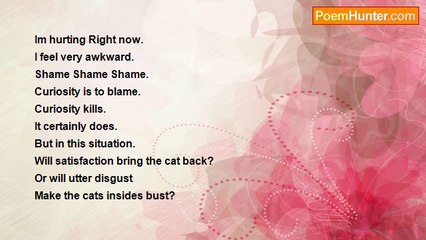 Melchi Dompreh - Curiosity Kills