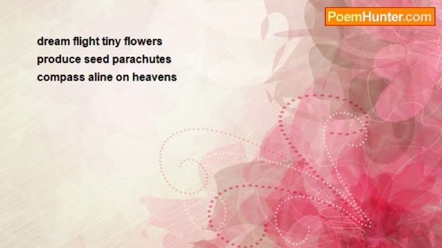 Terence George Craddock (Spectral Images and Images Of Light) - Kite Flight Dream Space Travel