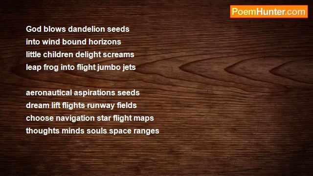 Terence George Craddock (Spectral Images and Images Of Light) - Dandelion Seeds Space Flights Bloom