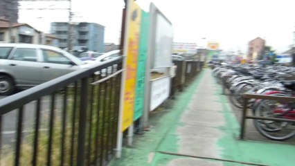 More Japanese Honesty!