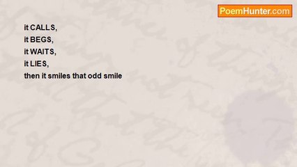 david gerardino - Odd Smile