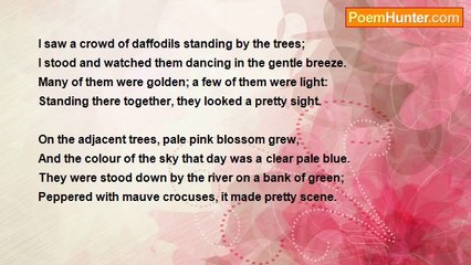 Angela Wybrow - Dancing Daffodils