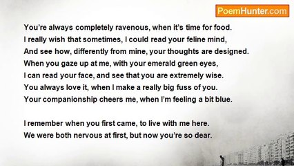 Angela Wybrow - My Constant Companion