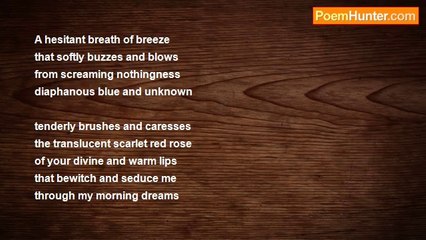 Nizamettin Esen Haymanali - My morning dreams