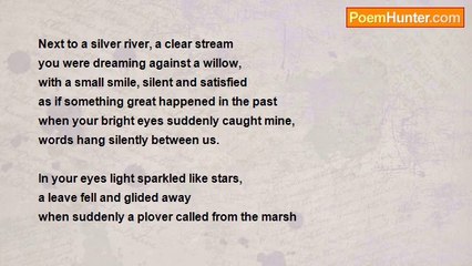 Gert Strydom - Some Silence Hanged Wordless Between Us