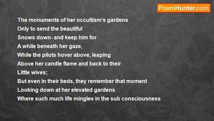 Robert Rorabeck - The Beautiful Forest