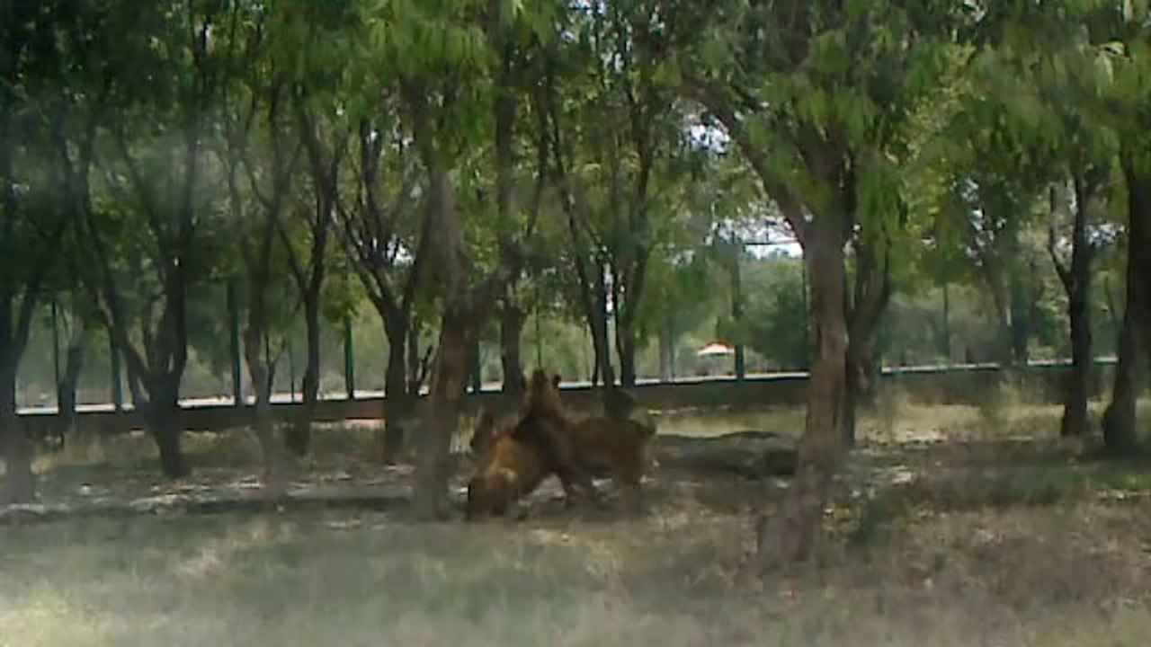 Greenfield Hall School, Toba Tek Singh students tour in Lahore