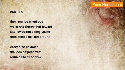 Warren Falcon - The Idea Of 'Pear Tree'