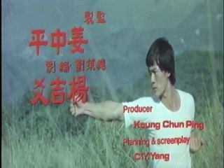 Bruce Lee The Invincible