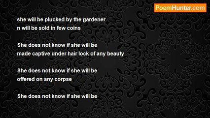 ramesh rai - Dilemma of  flower