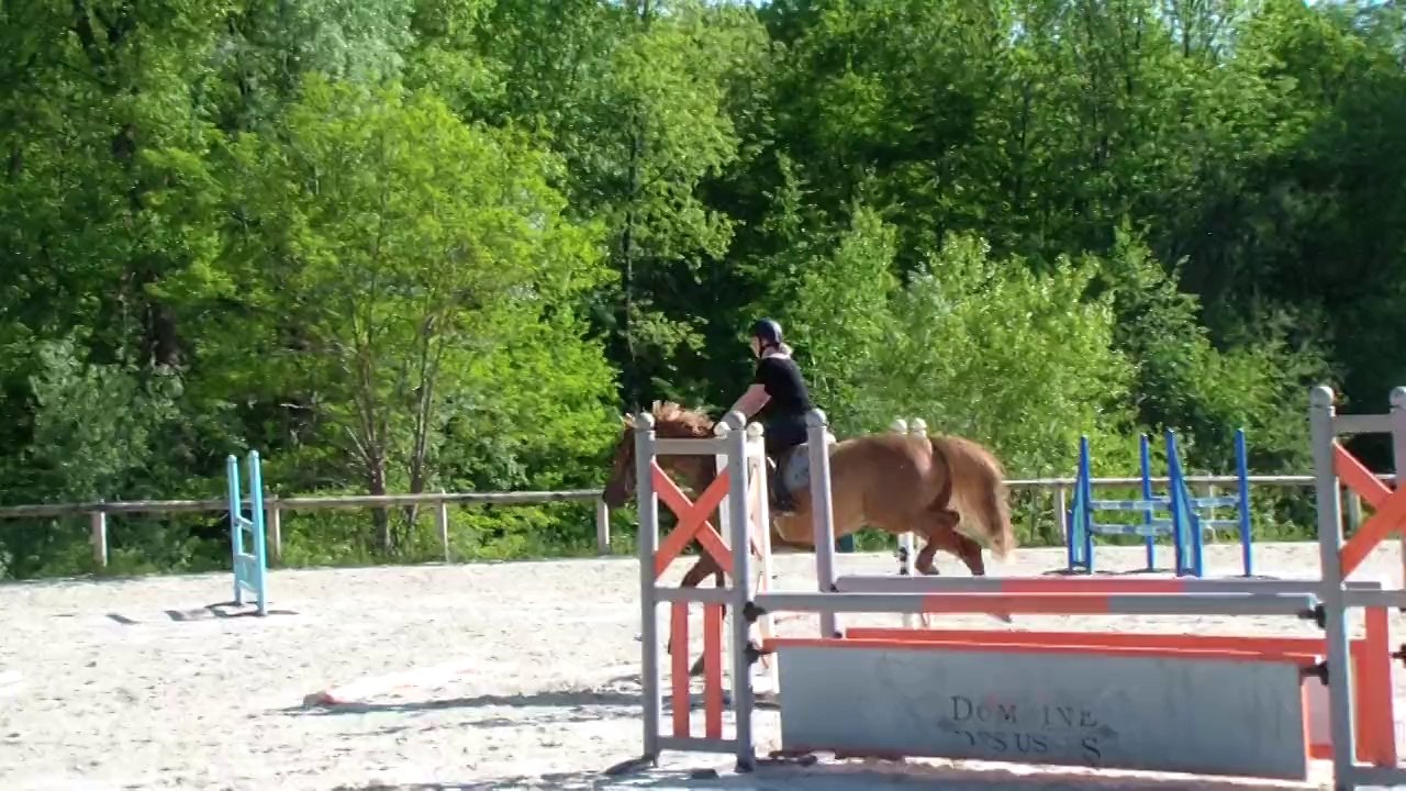 Robin dernier cours