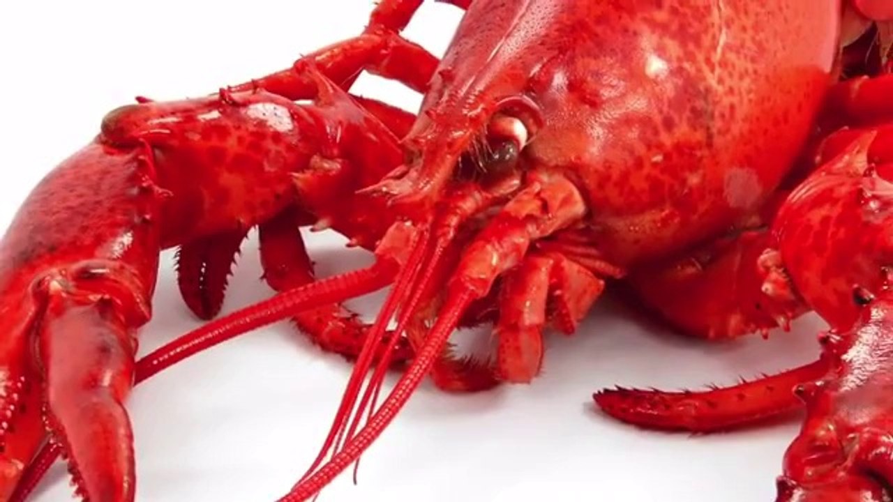 Woman arrested for stuffing 7 lobster tails down her pants