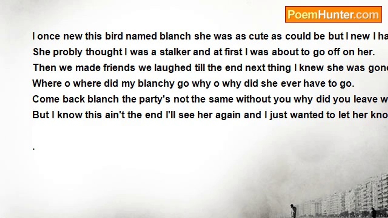 Greg Loyd - Bird Named Blance