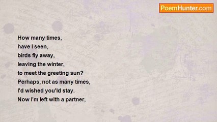 Jacqui Broad - Questions & Answers