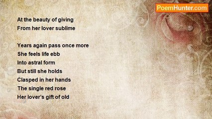 Kaila George - A Single Stemmed Rose