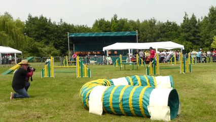 Agility Manche 2 Durga