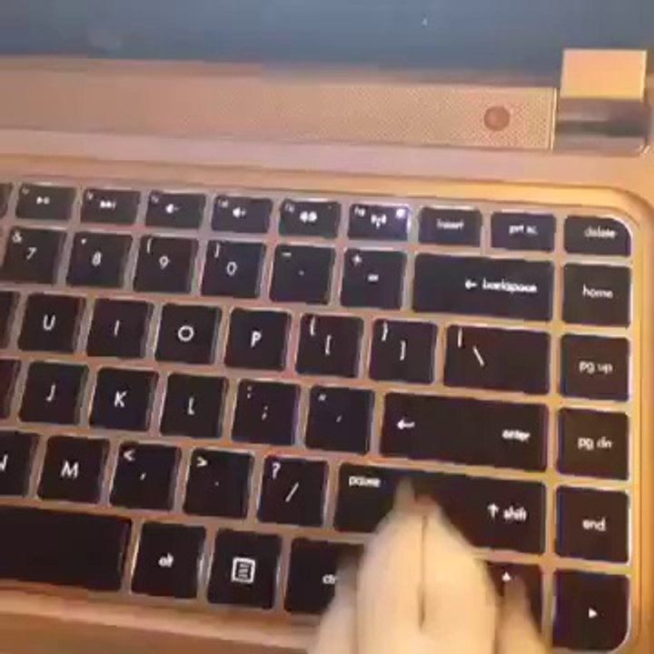 How to play the piano Amazing VINES