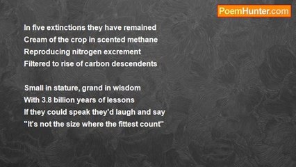 Kevin Patrick - Archaea