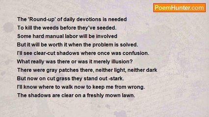 Natalie Dirks - Clear-cut Shadows