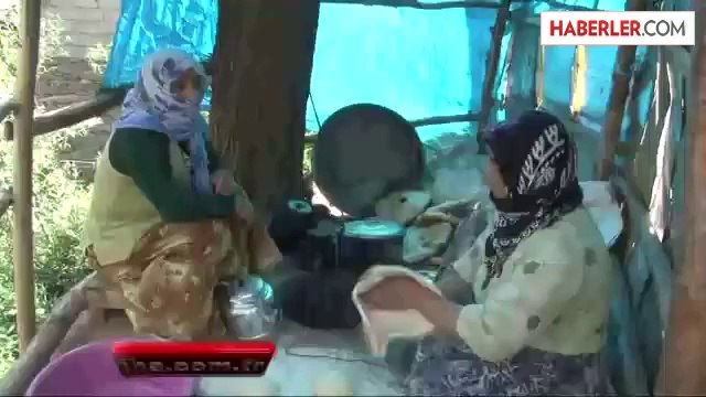 Çekirgeler Mahalleyi İstila Etti