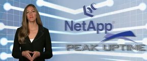 NetApp Peak UpTime Partnership for Storage Solutions