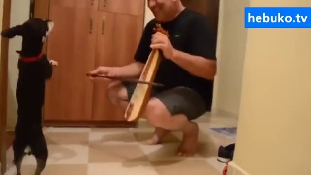 kemençe çalınca horon oynayan laz köpek uşağum :D