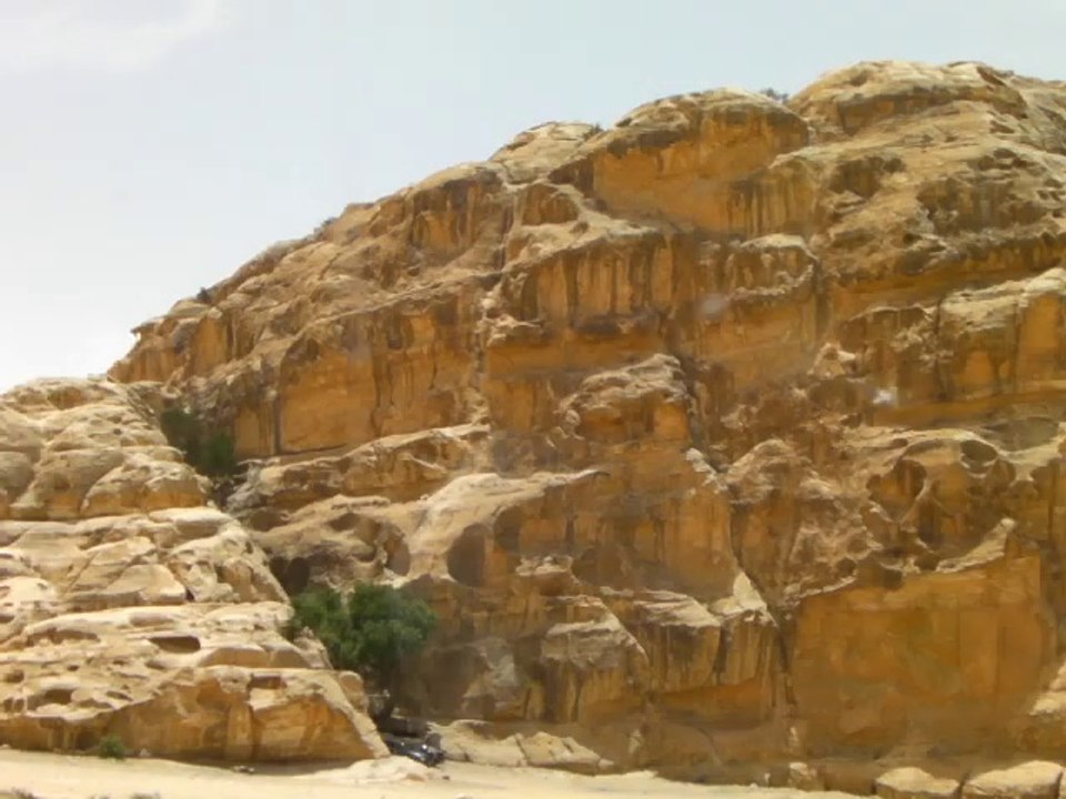 Travelling in Petra 2014