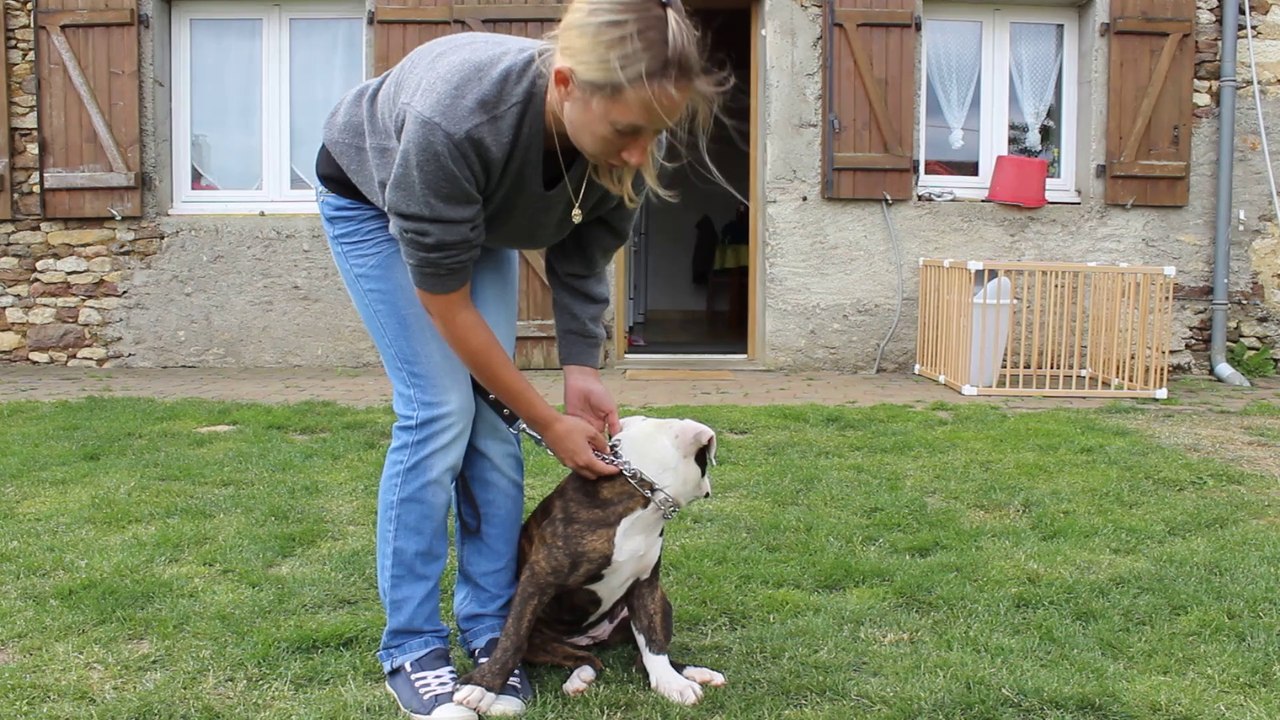 video sur le collier a pic
