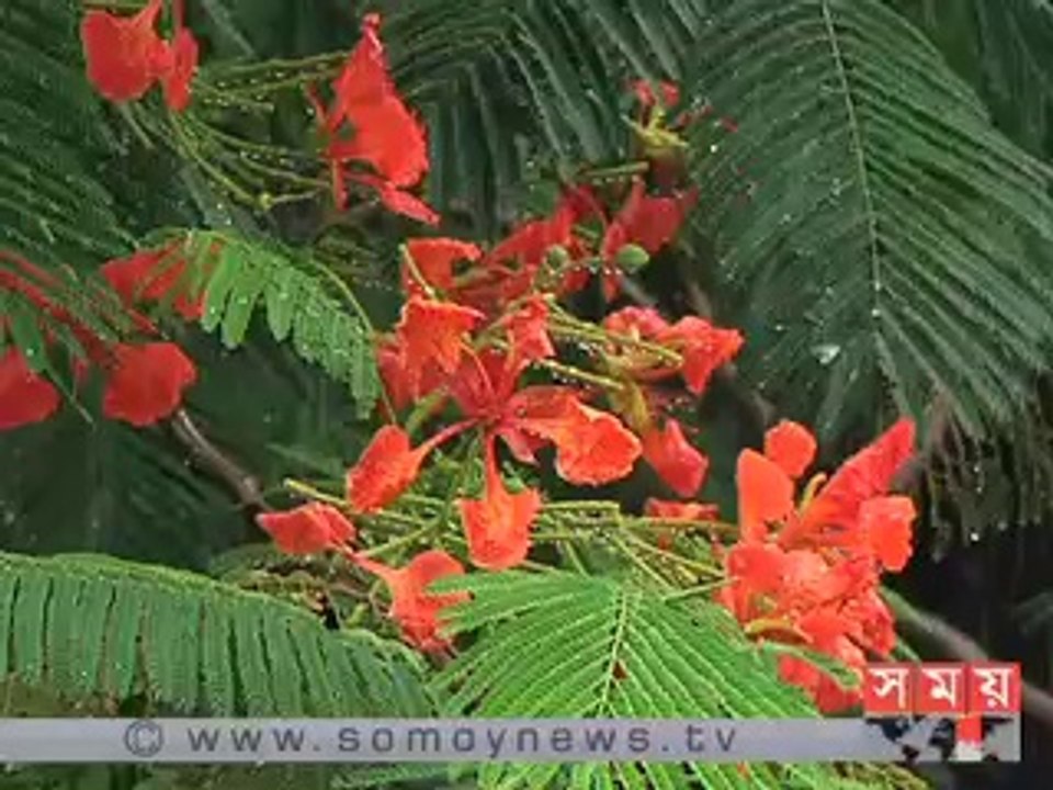 রাজধানীতে স্বস্তির বৃষ্টি