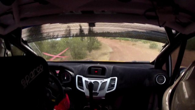 2014 Oyak Renault Yeşil Bursa Rallisi / Buğra Banaz - Burak Erdener / ÖE 9 Fluence 3 / Ford Fiesta R2