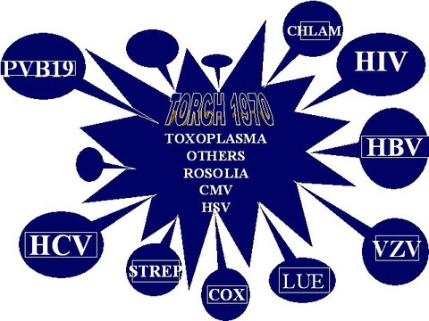 Prevalenza delle infezioni in gravidanza e rischio di trasmissione verticale