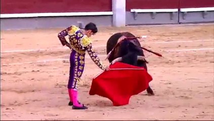 Alejandro Talavante 1 tarde San Isidro 14