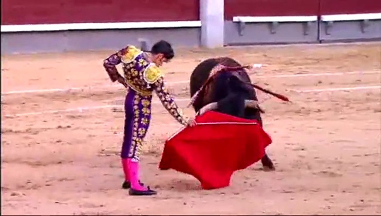 Alejandro Talavante 1 tarde San Isidro 14