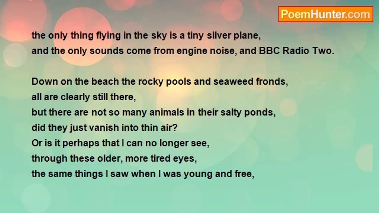 Tom Higgins - Two Little Boys And One Tiny Bird