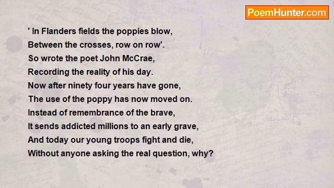 Tom Higgins - Poppy Price Tag