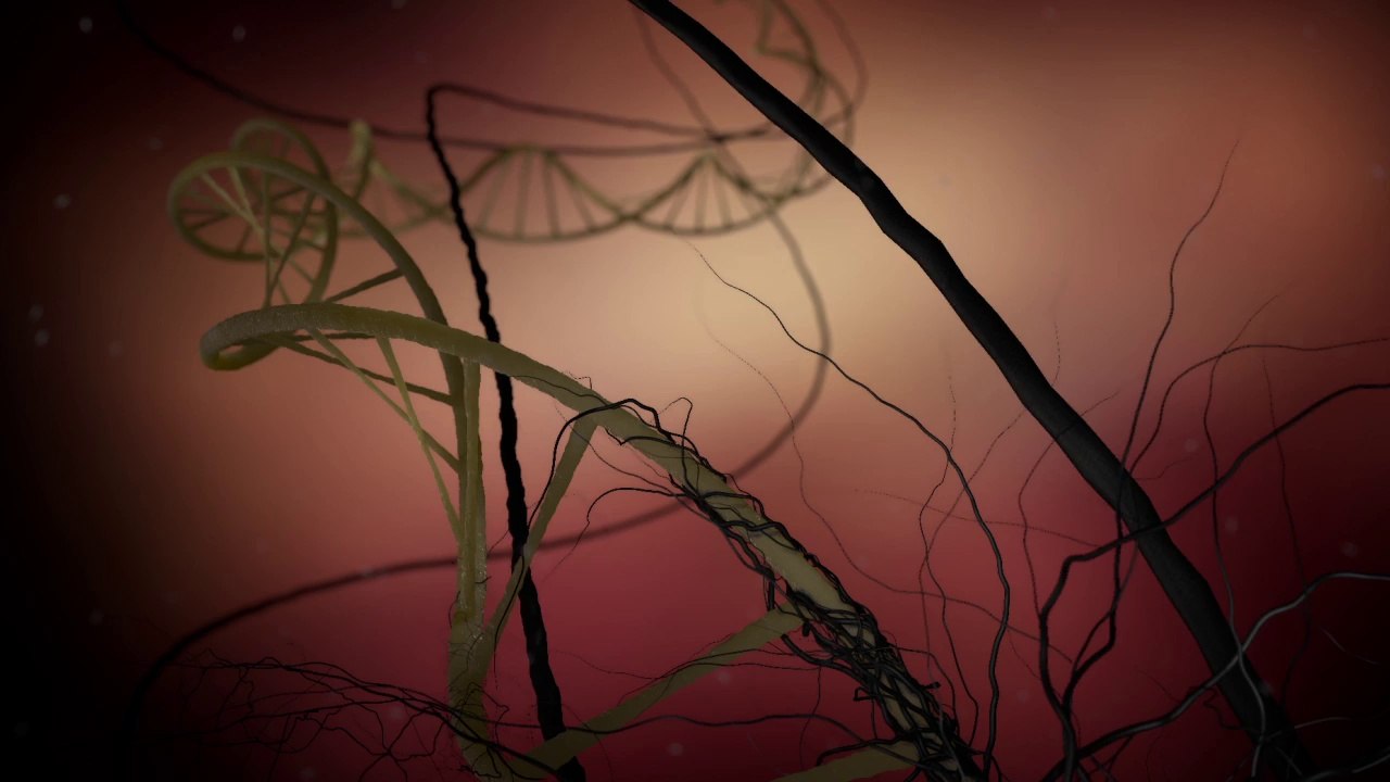 Demo reel 2014