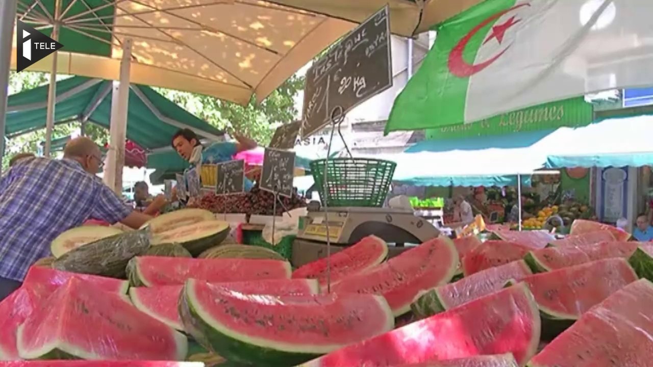 Marseille vibre pour les Fennecs