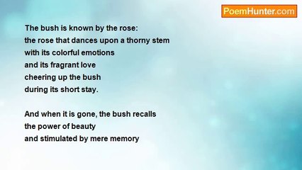 Padma Prasad Devkota - The Rose Bush