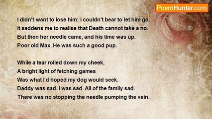 Stephen Cahill Furlong - Goodbye Max