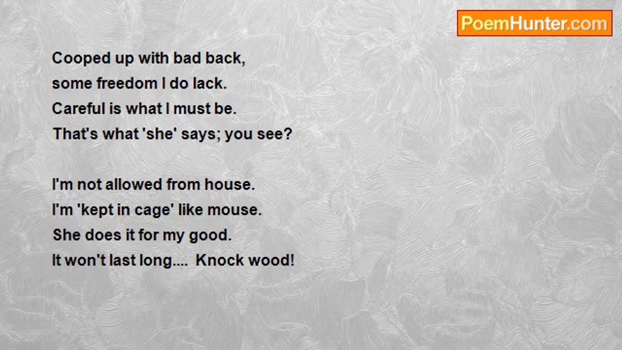 Bri Edwards - Pacing Like A Puma (Cat) ...... [Confinement; Back 'trouble'; Personal]