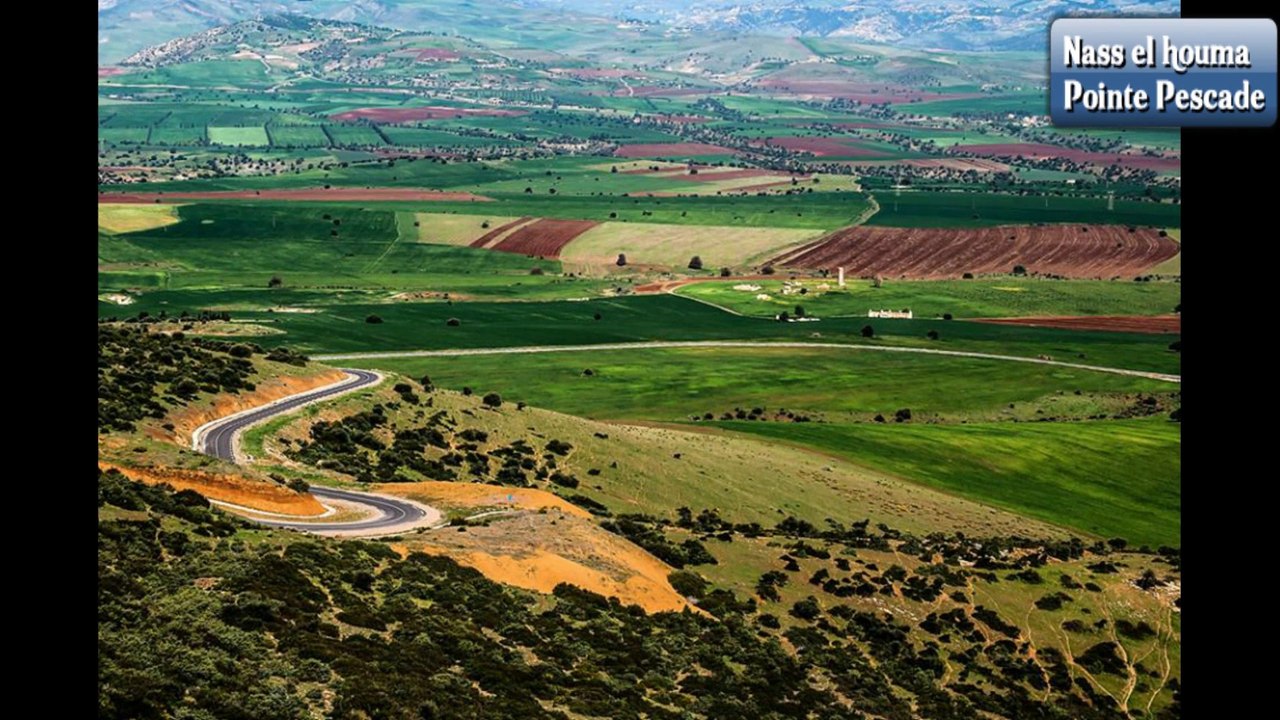 Algeria My Country