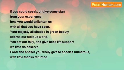 Thomas Norman - Ode To An Oak Tree