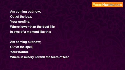 Bolami lawal - Concealed