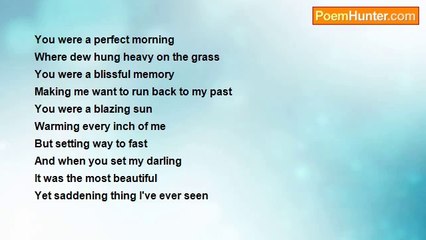 Tiger Lily Love - The Stuff Of My Dreams