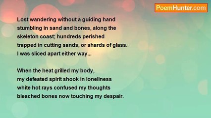 Robin Bennett - The Skeleton Coast