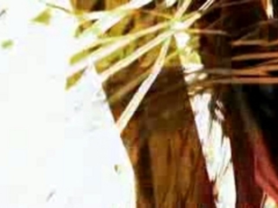 BT-01- All That Makes Us Human Continues