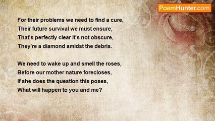 bri mar - '' The Humble Bumble Bee ''