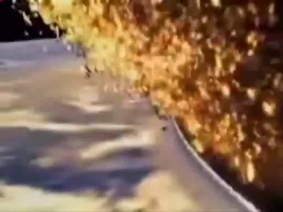 削除動画でｳｯｰｳｯｰｳﾏｳﾏ(゜∀゜)人類滅亡┗(^o^)┓三(1).mp4