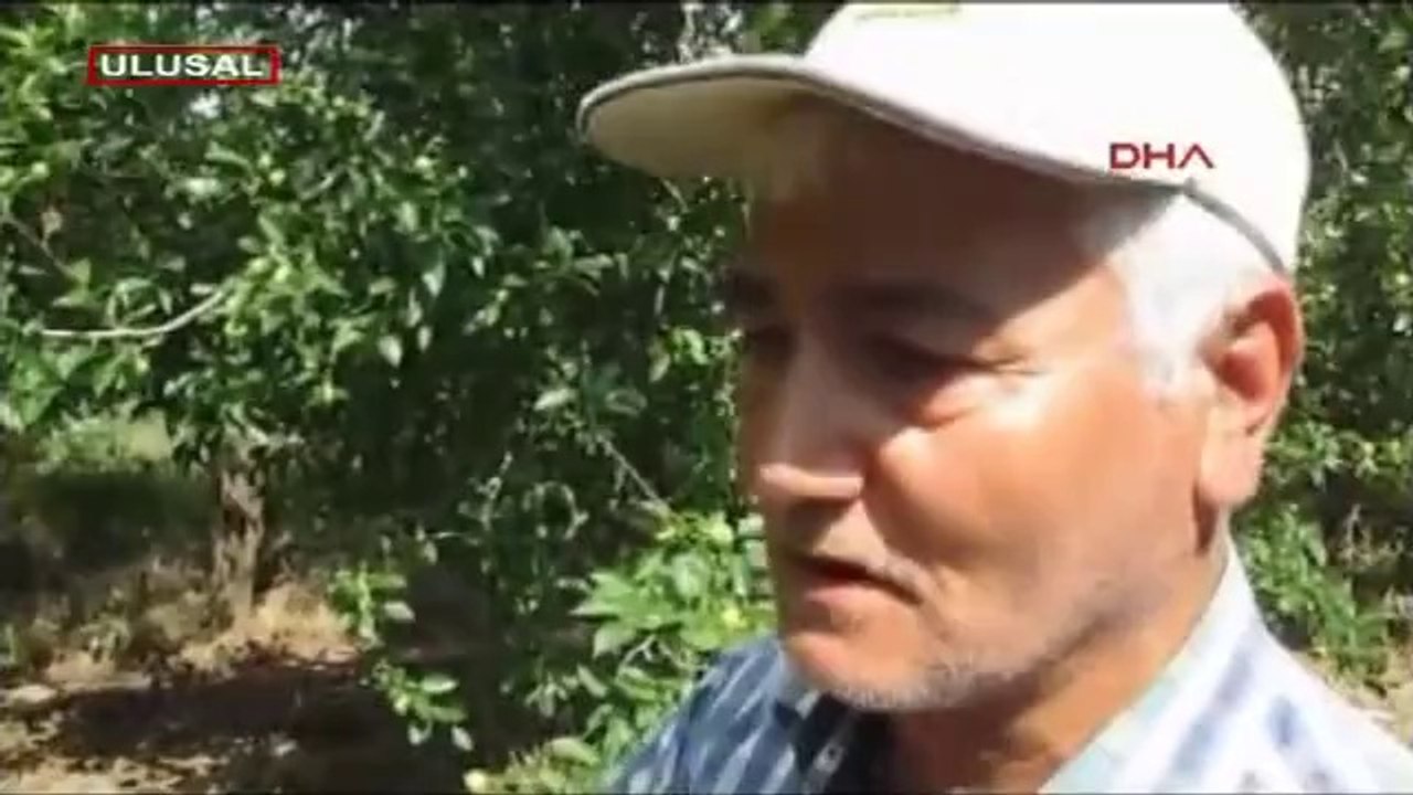 Kazdağı tehlikede