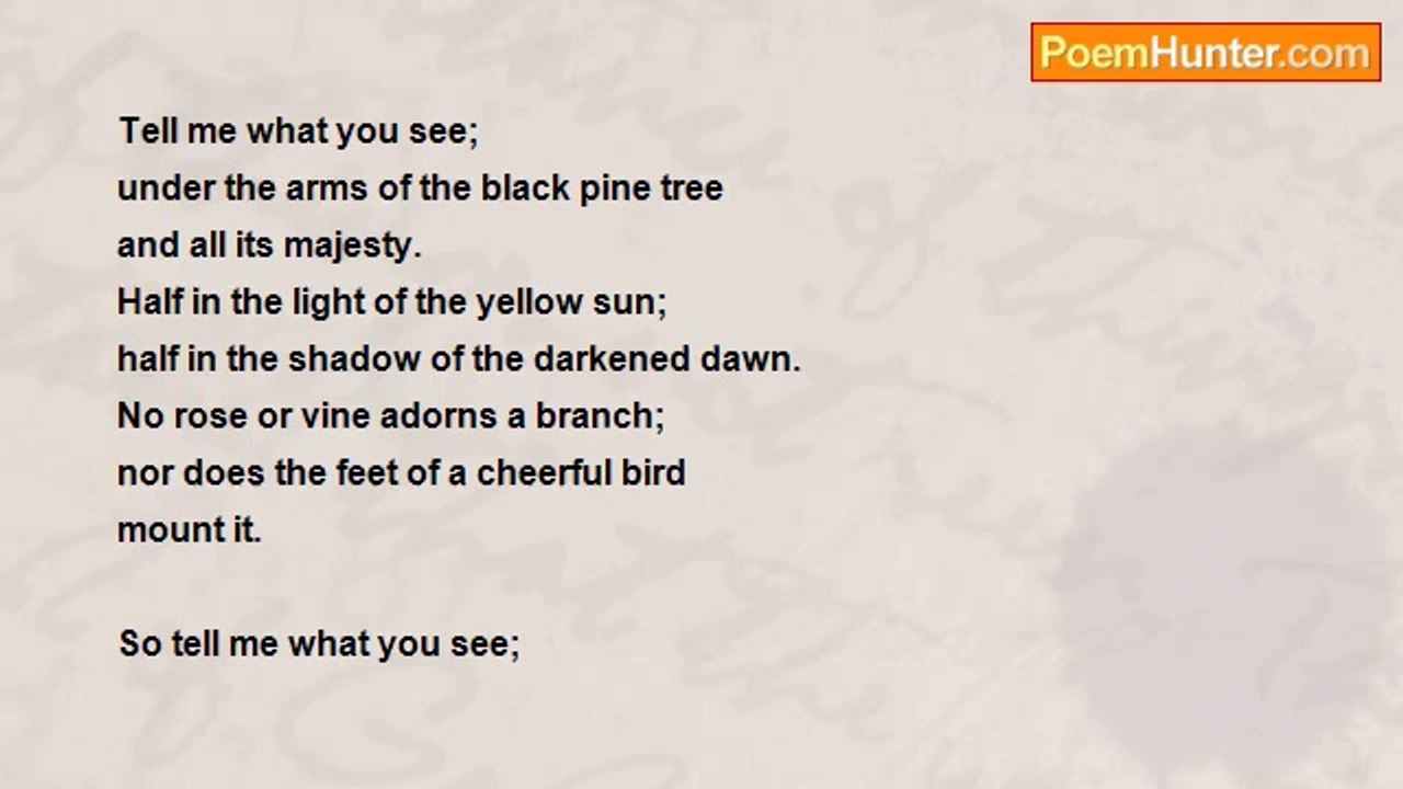 Ell Ell - The Black Pine Tree